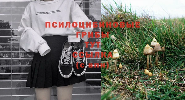 винт Переславль-Залесский